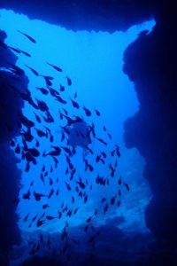 2017.07.01　万座ボート　ファンダイビング