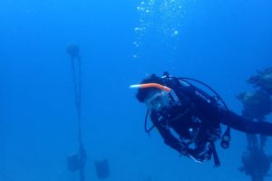 2017.07.01　万座ボート　ファンダイビング