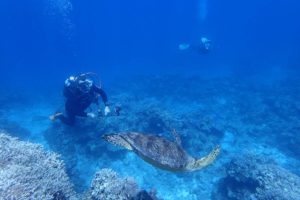 2017.07.08　慶良間ボート　ファンダイビング