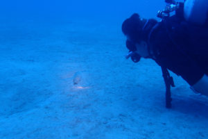 2017.08.12　万座ボート　ファンダイビング