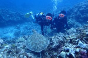 2017.08.09　慶良間ボート　ＯＷＤコース＆追加ファン