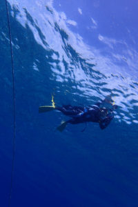 2017.08.01　チービシボート　体験＆付き添いダイビング