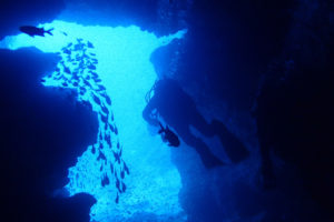 2017.08.14　万座ボート　ファンダイビング