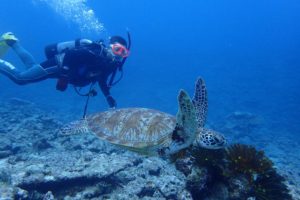 2017.08.09　慶良間ボート　ＯＷＤコース＆追加ファン