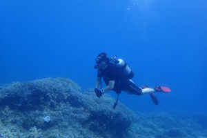 2017.08.12　万座ボート　ファンダイビング