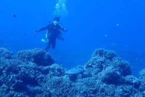 2017.10.03　慶良間ボート　ファンダイビング