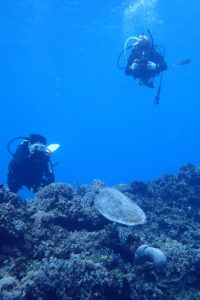 2017.11.01　慶良間ボート　ファンダイビング