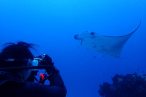 2017.11.01　慶良間ボート　ファンダイビング