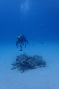 2017.11.01　慶良間ボート　ファンダイビング