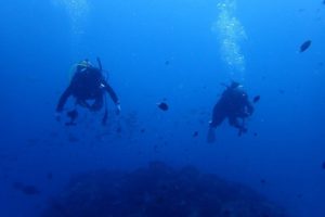 2017.11.02　慶良間ボート　ファンダイビング