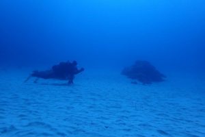 2017.11.03　慶良間ボート　ファンダイビング