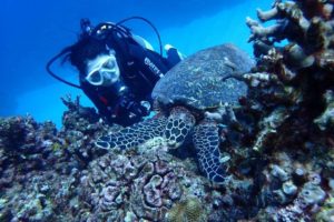 2017.11.03　慶良間ボート　ファンダイビング