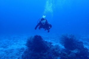 2017.11.03　慶良間ボート　ファンダイビング