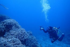 2018.07.03　慶良間ボート　ファンダイビング