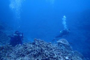 2018.07.04　慶良間ボート　ファンダイビング