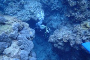 2018.07.04　慶良間ボート　ファンダイビング