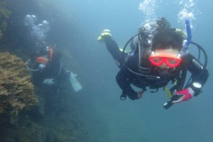 2018.07.08　砂辺ビーチ　OWDコース＆付き添いファン