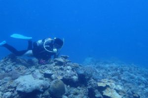 2018.07.12　慶良間ボート　ファンダイビング＆スキンダイビング