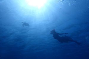 2018.07.12　慶良間ボート　ファンダイビング＆スキンダイビング