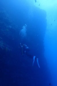 2018.07.12　慶良間ボート　ファンダイビング＆スキンダイビング