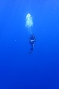 2018.07.14　粟国遠征ボート　ファンダイビング