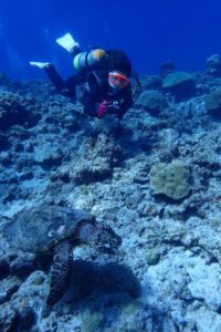 2018.08.06　慶良間ボート　ファンダイビング