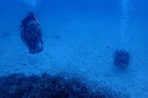 2018.08.14　慶良間ボート　ファンダイビング