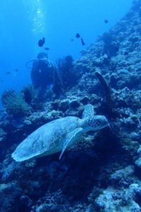 2018.08.14　慶良間ボート　ファンダイビング