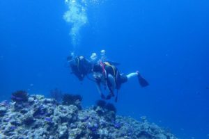 2018.08.14　慶良間ボート　ファンダイビング