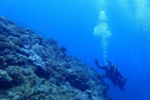 2018.08.15　慶良間ボート　ファンダイビング