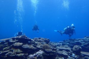 2018.08.16　慶良間ボート　ファンダイビング