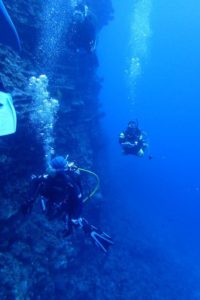 2018.08.16　慶良間ボート　ファンダイビング