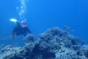 2019.05.02　慶良間ボート　ファンダイビング