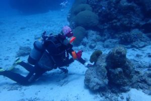 2019.05.02　慶良間ボート　ファンダイビング