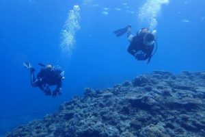 2019.08.18　慶良間ボート　ファンダイビング