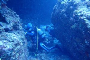 2019.08.18　慶良間ボート　ファンダイビング