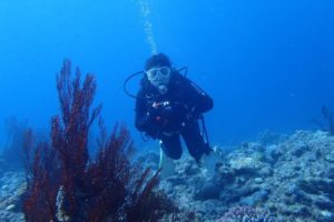 2019.11.01　慶良間ボート　ファンダイビング