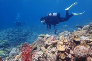 2019.11.01　慶良間ボート　ファンダイビング