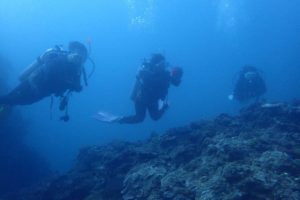 2019.11.02　大浦湾ボート　ファンダイビング