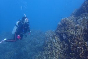 2019.11.02　大浦湾ボート　ファンダイビング