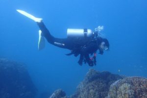 2019.11.02　大浦湾ボート　ファンダイビング