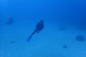 2019.11.03　砂辺ビーチ　ファンダイビング