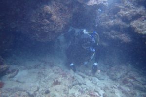 2019.11.03　砂辺ビーチ　ファンダイビング