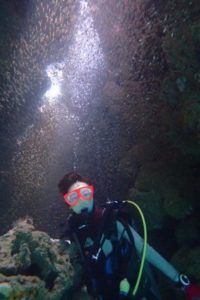 2019.11.06　大浦湾ボート　ファンダイビング