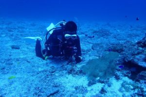 2019.11.12　慶良間ボート　ファンダイビング