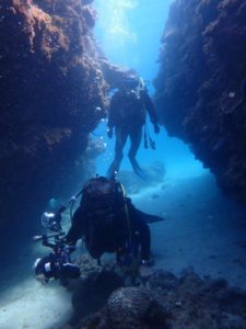 2020.11.11　崎本部ビーチ　ファンダイビング