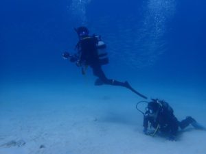 2020.11.11　崎本部ビーチ　ファンダイビング