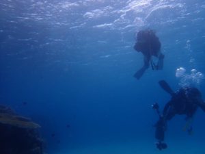 2020.11.11　崎本部ビーチ　ファンダイビング