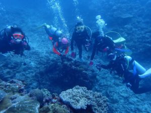 2020.11.15　チービシ（本島沿い）ボート　ファンダイビング