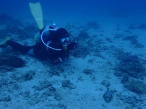 2021.06.01　砂辺ビーチ　ファンダイビング